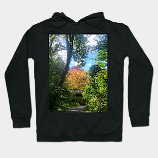 Fall Stroll Hoodie